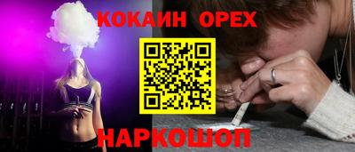 шишки Дмитров