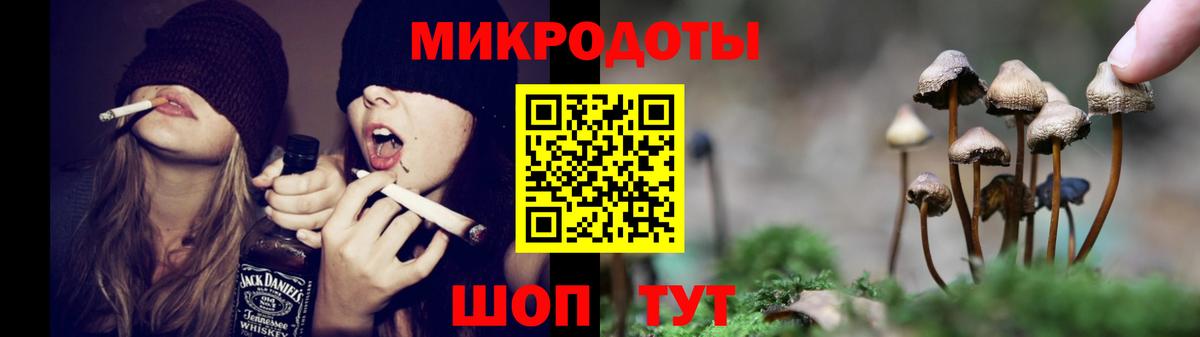 Ржев  что такое   Галлюциногенные грибы Magic Shrooms  Вход с VPN  Галлюциногенные грибы Psilocybe 